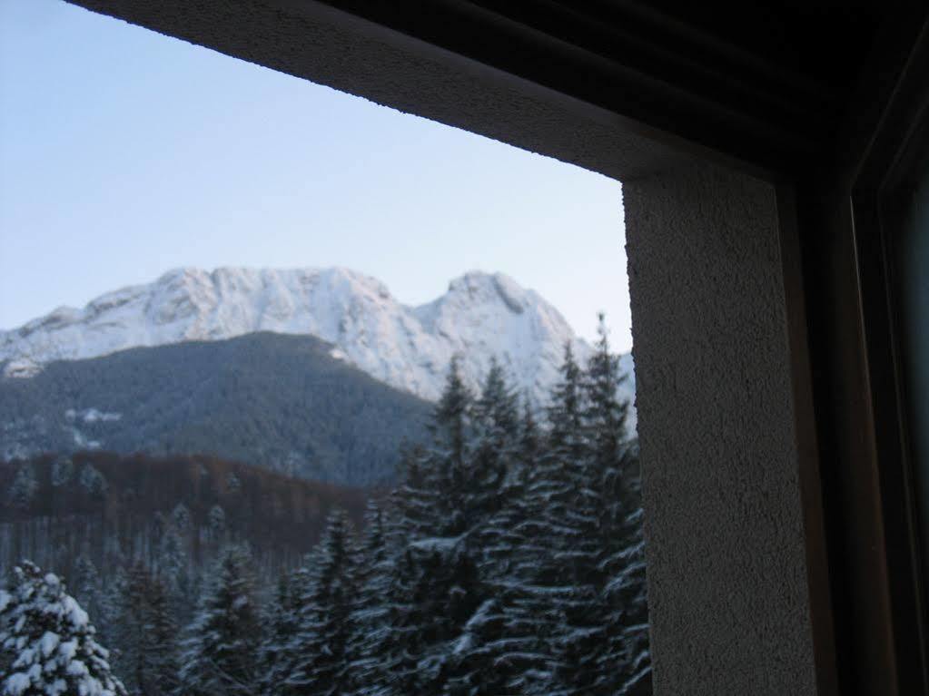 Willa Otulina Pod Giewontem Zakopane Exterior foto